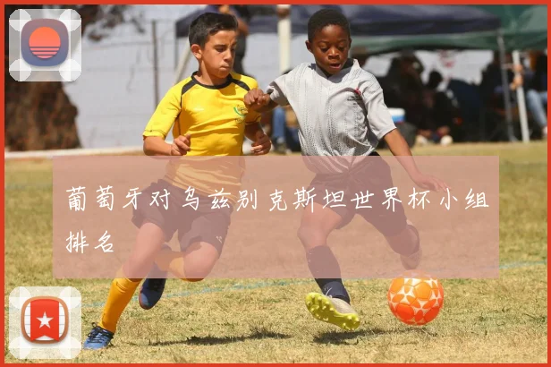 葡萄牙对乌兹别克斯坦世界杯小组排名
