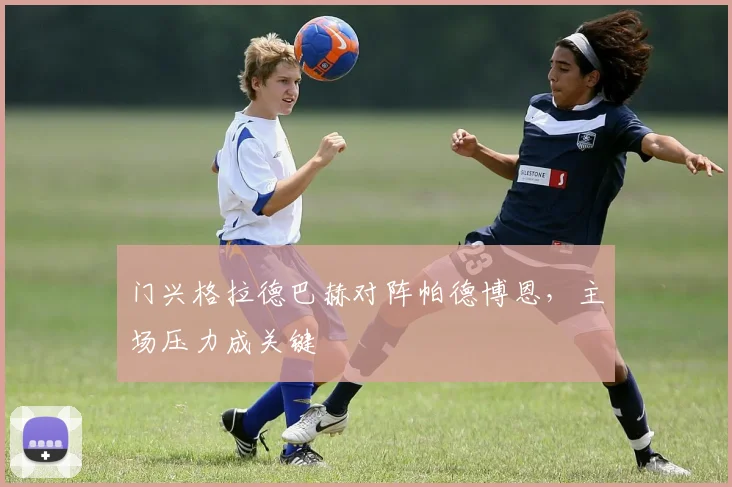 门兴格拉德巴赫对阵帕德博恩,主场压力成关键