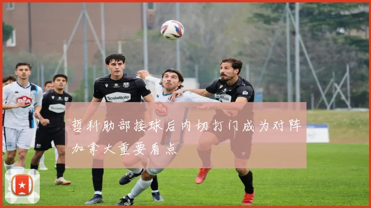 哲科肋部接球后内切打门成为对阵加拿大重要看点